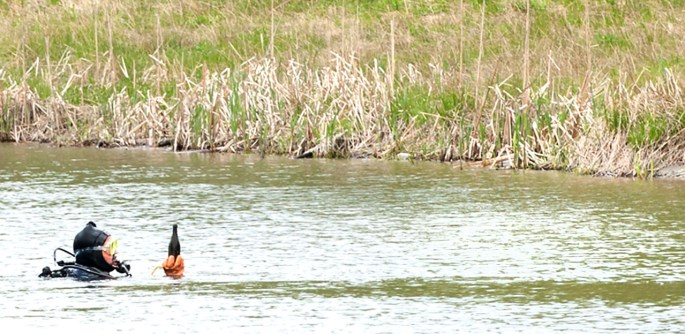 i283163839567797177._szw1280h1280_