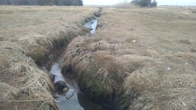 i283163839571861887._szw1280h1280_